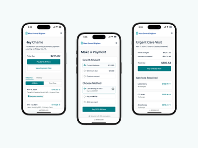 Online healthcare payment tool bill bill details billing checkout credit card healthcare medical mobile patient pay payment payment plan statement