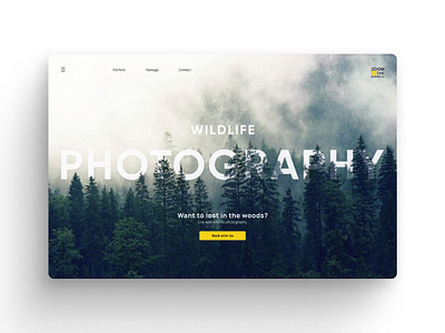 Landing Page- ZOOM IN THE MIDWILD banner design landing landing page modern landing page photography photography landing page photography website poster design social media kits stationery user interface ux design ux ui web design web developement website webstie design
