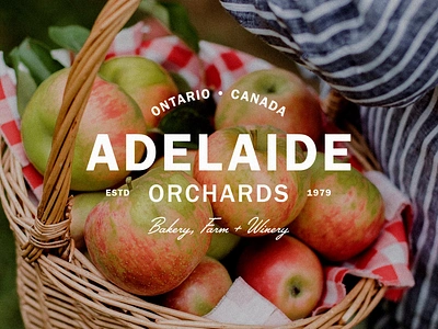 Adelaide Orchard: Bakery, Farm + Winery art direction bespoke brand design branding design graphic design illustrator logo orchard photoshop sticker vector winery