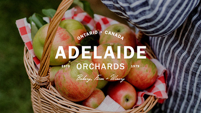 Adelaide Orchard: Bakery, Farm + Winery art direction bespoke brand design branding design graphic design illustrator logo orchard photoshop sticker vector winery