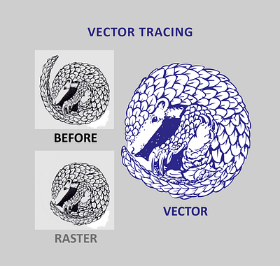 Vector Tracing vector graphic