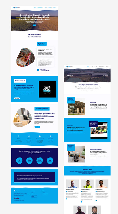 Website Design