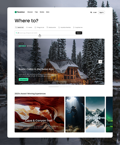 Tripadvisor - concept travel ui ux web design