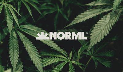 Norml branding business card design icon design logo design marijuana mcquade inc stationery style guide
