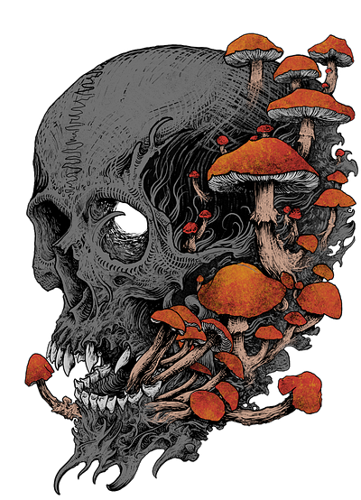 Fungi Skull dark art graphic hand drawn illustration mushroom photoshop skull