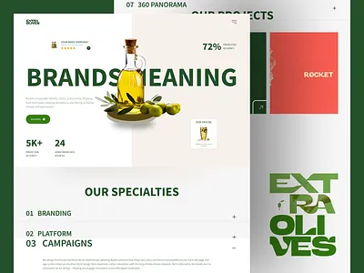 E-Commerce Shower Oil Landing Page ecommerce website landing page oil landing page oil selling website product selling website sales website design shopify website design