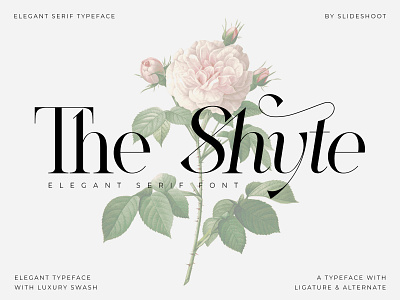 The Shyte - Serif Font design elegant fashion font italic logo type lowercase modern regular romantic typeface typography uppercase