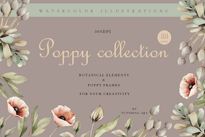 Poppy collection. Watercolor style anniversary botanical bouquet celebration collection floral floral border flower frame greeting herbarium holiday illustration invitation poppy rose summer top watercolor wedding