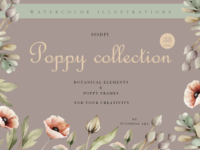 Poppy collection. Watercolor style anniversary botanical bouquet celebration collection floral floral border flower frame greeting herbarium holiday illustration invitation poppy rose summer top watercolor wedding