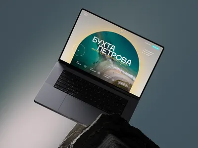 Petrova Bay website design hotel trendy ui ux uxui web design website