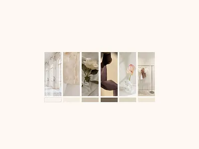 JOIE DES ROSES brand design brandguide branding graphic design