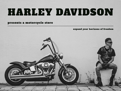 Harley Davidson brand branding design freedom graphic design harley davidson logo people render мотоциклы
