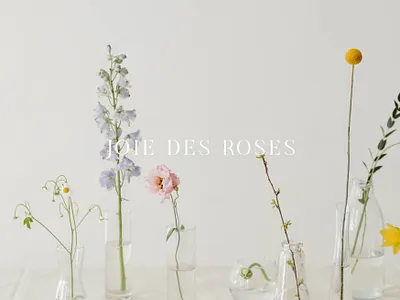 JOIE DES ROSES brand design brand identity brandguide branding design graphic design logo typogaphy