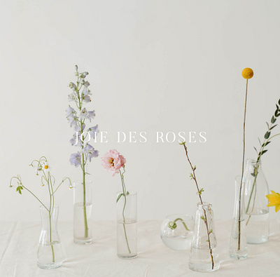 JOIE DES ROSES brand design brand identity brandguide branding design graphic design logo typogaphy