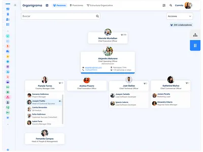 Organigrama / Orgchart design human resources orgchart ui ux