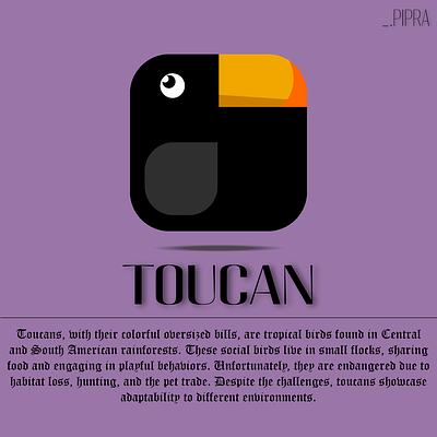 TOUCAN branding graphic design logo