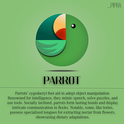 PARROT branding graphic design logo