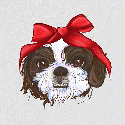 Shitzu as a gift animation branding desenho design dog gift graphic design illustration logo shitzu as a gift ui ux vector