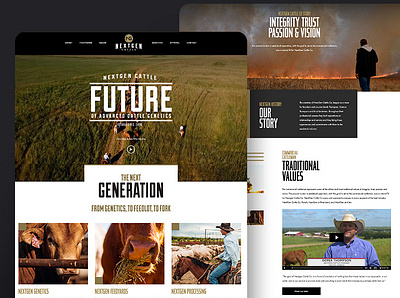 NextGen Cattle Web Design ag web design agriculture agriculture web design cattle web design web design website design