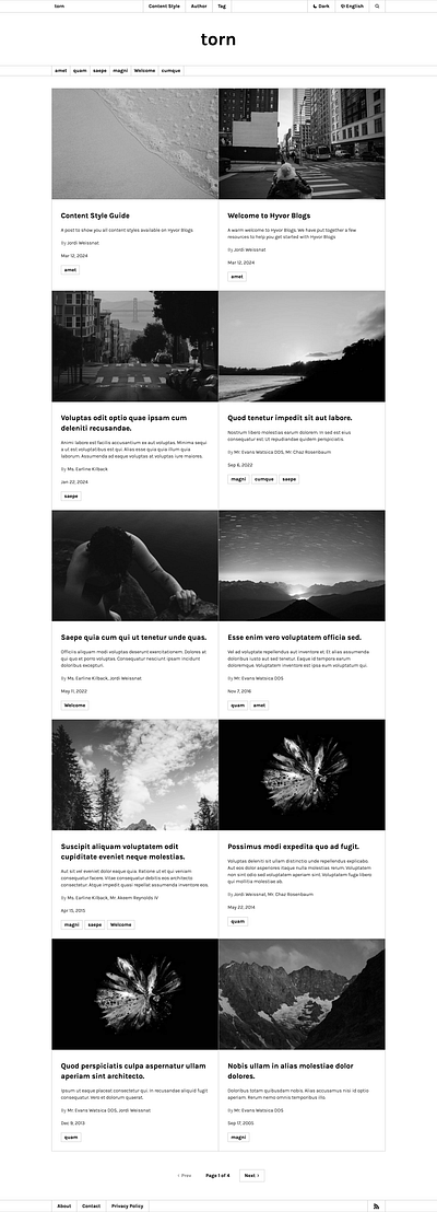 TORN - An old-school blog theme for Hyvor Blogs ui