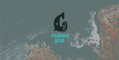 La Baleine Grise | sea coast protection animal branding cute environment graphic design illustration logo non profit sea coast whale