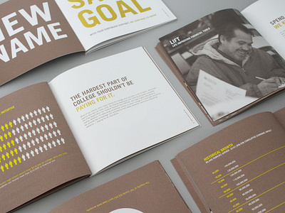 Ladder Up annual report book design brochure design foundation graphic design iconography identity infographic logo design mcquade inc nicole mcquade non profit print design