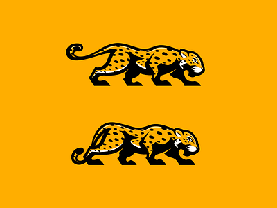 Jaguar logo branding design feline illustration jaguar logo mascot onça sport sportlogo team vector
