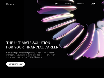 DROPS FINANCIAL COACHING branding graphic design landing page