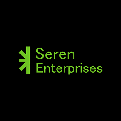 Seren Enterprises 3d animation branding graphic design logo motion graphics ui