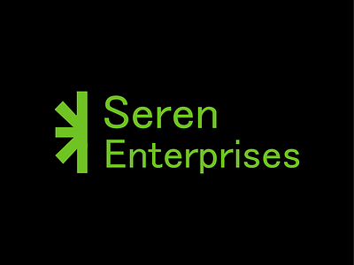 Seren Enterprises 3d animation branding graphic design logo motion graphics ui