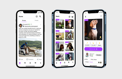 PetWalk mobile app app design figma mobile ui ux uxui web