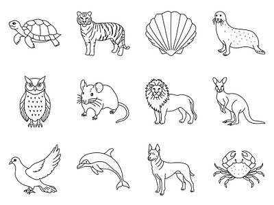Animal Illustration animal childrens book graphic design illustration line art outline vector