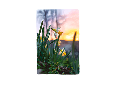 Morning glow daffodils design digital art digital painting flowers illustration morning procreate drawing procreate painting sunrise