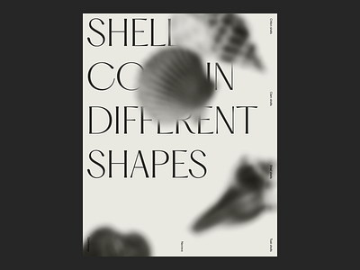 Shells come in different shapes Poster graphic design minimalism poster shells
