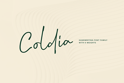 Coldia — a captivating handwriting font family beautiful font branding cursive design font hand drawn handwriting handwritten logotype modern calligraphy modern font typeface typography