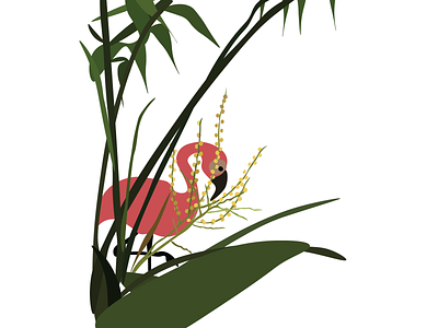 Birds/Flamingo design graphic design illustration vector