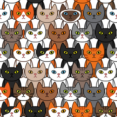 Cats cat design flat graphic design illustration vector