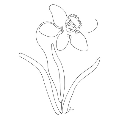 Line art of spring flower comfort logo