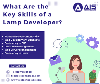 What Are the Key Skills of a Lamp Developer? hire lamp developer lamp developers
