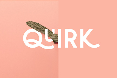 Quirk Fun Display Font Free Download blogger display display font fun fun font king minimal modern font pink quality fontw queen quirky quirky font sans serif the routine creative