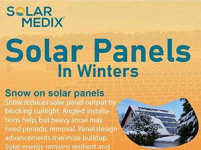 Solar Panels in Winter branding graphic design info infographic residential solar services snow guard installation snow on solar panel solar consultation solar maintenance massachusetts solar maintenance texas solar panel snow solar snow guard