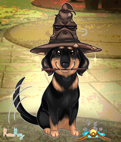 Harry Potter Dachshund commission dachshund digital illustration graphic design harry potter illustration stylized