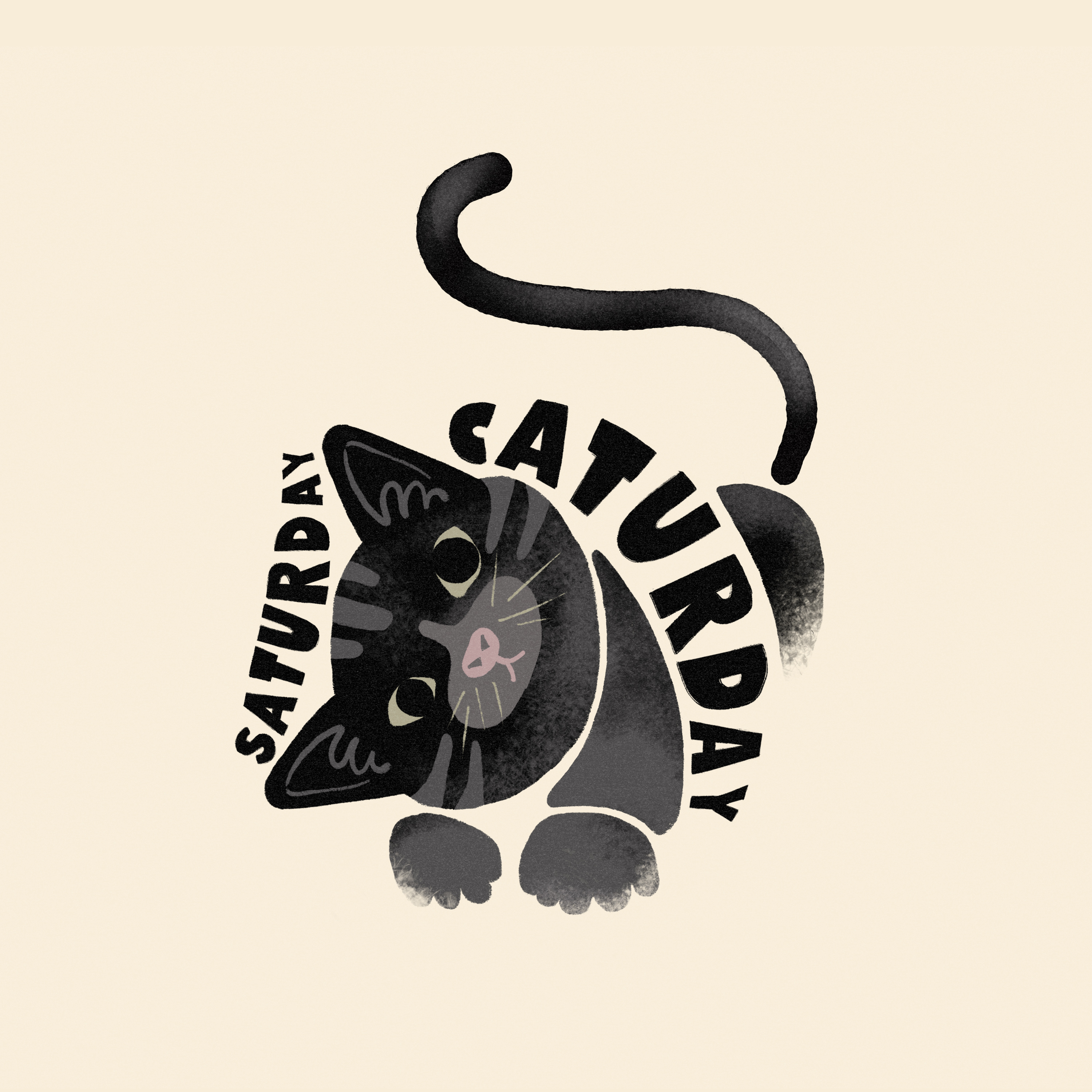 Saturday Caturday loop animation 2d animal illustration animation branding cat catillustration cutecat design graphic design handlettering illustration kitty lettering motion graphics typography vintageillustration