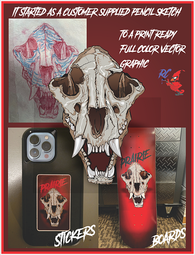 The Cougar Skull, From pencil sketch to marketable graphics digitization graphic design illustration logo print ready vector