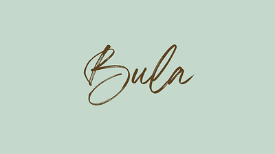 Bula Travel Brand Identity brand identity branding canva design figma landing page travel ui ux