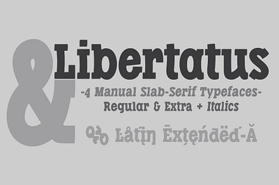 Libertatus fonts bitcoin black condensed defharo freelance handwritten latin extended a manual open type features slab serif