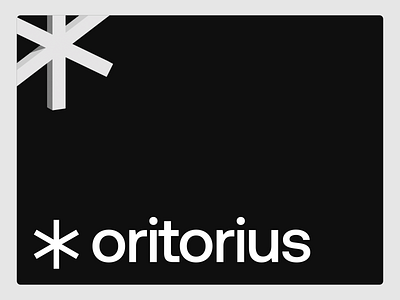 Oritorius Brand Identity black and white brand brand identity branding design illustration logo marka oritorius