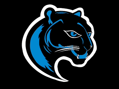 Carolina Panthers Rebranding Project branding graphic design logo rebranding