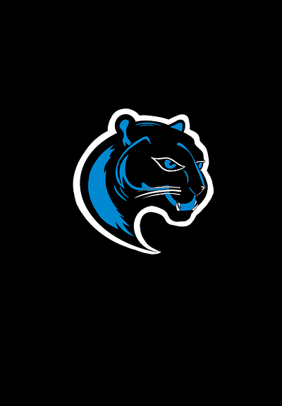 Carolina Panthers Rebranding Project branding graphic design logo rebranding