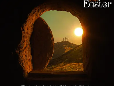 Easter Design branding graphic design
